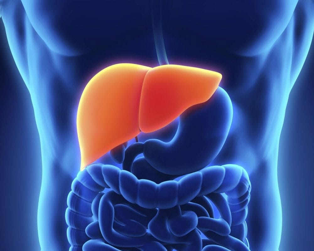 NAFLD the silent disease and your health