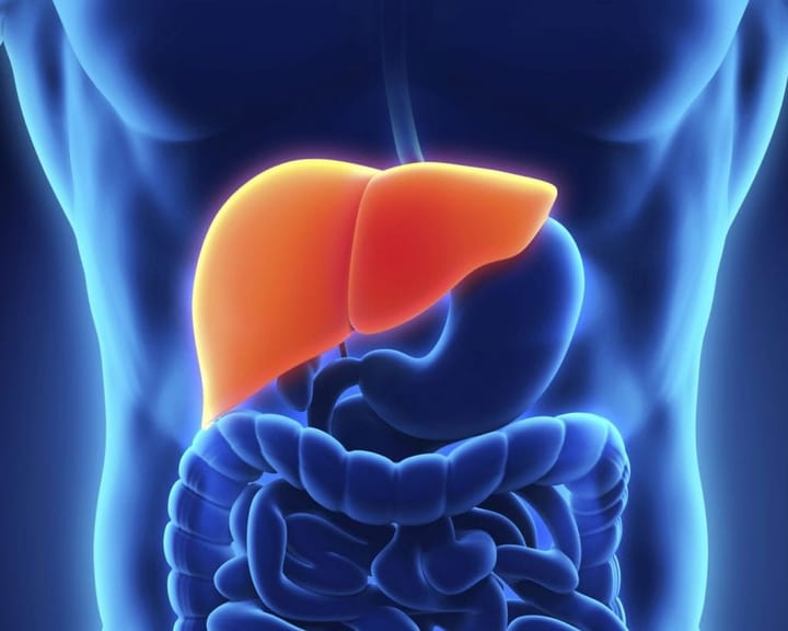 NAFLD the silent disease and your health